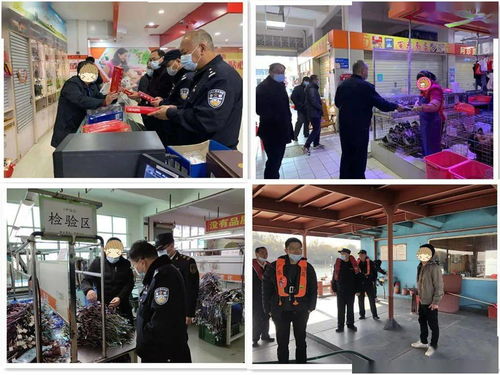 筑牢節日防線 英德開展打擊應節商品走私統一檢查行動，并借力體驗式拓展活動深化團隊協作與策略規劃