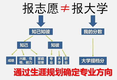 2024年報考志愿指南 計算機專業就業方向，鴻蒙開發與人工智能如何選擇？